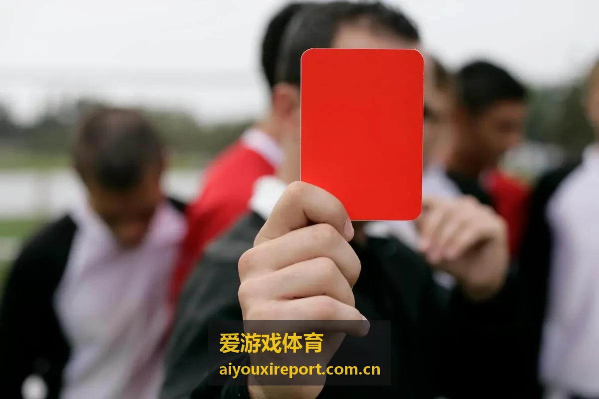 爱游戏体育会员活动权益封面